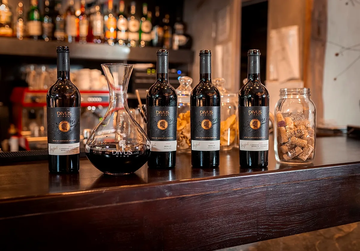 The Divus bar with Divus bottles on the counter and lit shelves